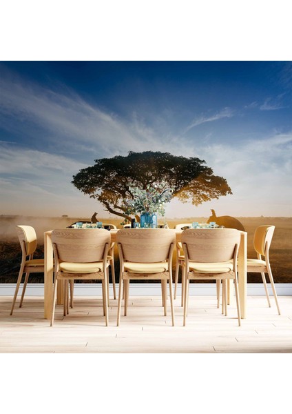 Gündoğumu Ağaç ve Fil Temalı indirimleri