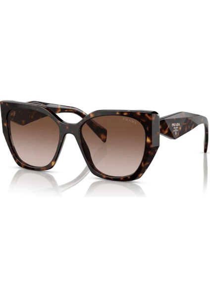 PR19ZS 2AU6S1 55 Kadın Güneş Gözlüğü