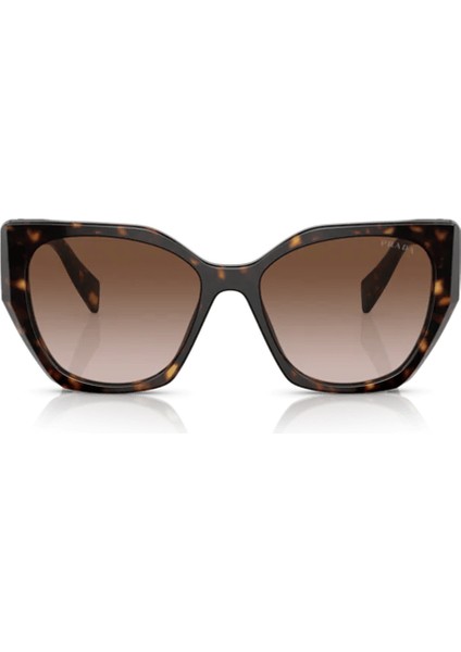 PR19ZS 2AU6S1 55 Kadın Güneş Gözlüğü fiyatları