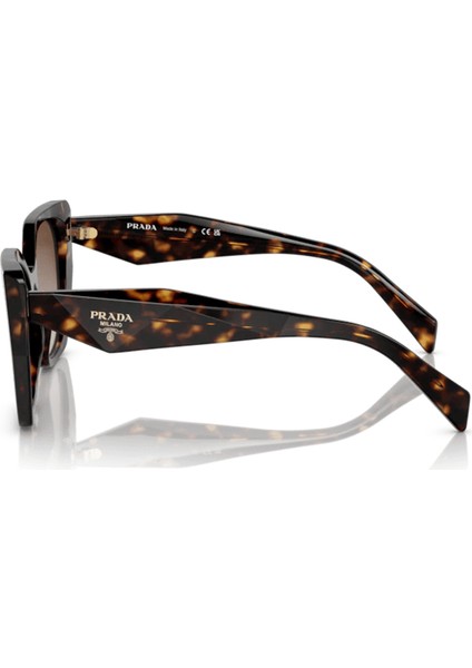PR19ZS 2AU6S1 55 Kadın Güneş Gözlüğü modelleri