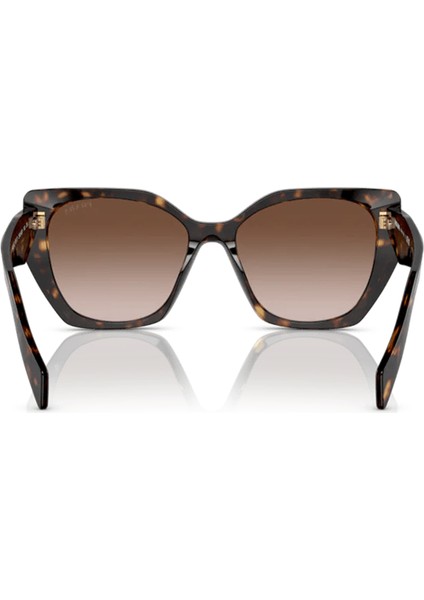 PR19ZS 2AU6S1 55 Kadın Güneş Gözlüğü fırsatları