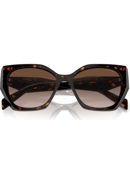 PR19ZS 2AU6S1 55 Kadın Güneş Gözlüğü indirimleri