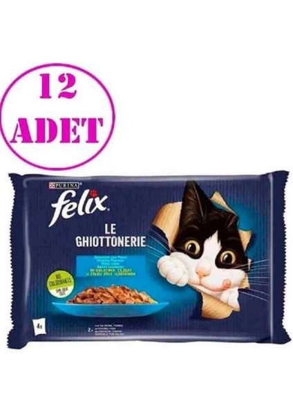 Multipack Somonlu ve Ton Balıklı Yetişkin Kedi Yaş Maması 4X85 gr 12 Adet