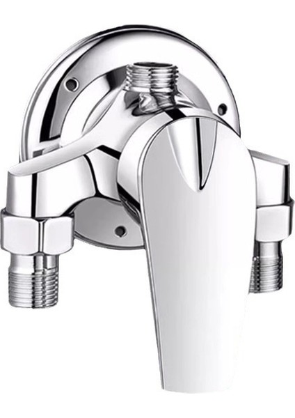 Karıştırma Vanası Sıcak ve Soğuk Su Duş Bataryası (Yurt Dışından)