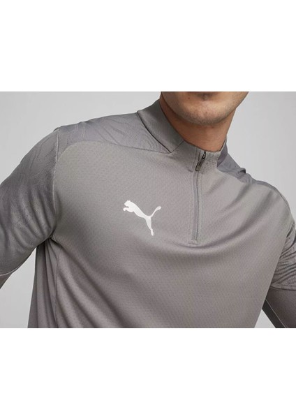 Teamfinal Training 1/4 Zip Erkek Futbol Antrenman Uzun Kollu Üst 65855113 Gri fırsatları