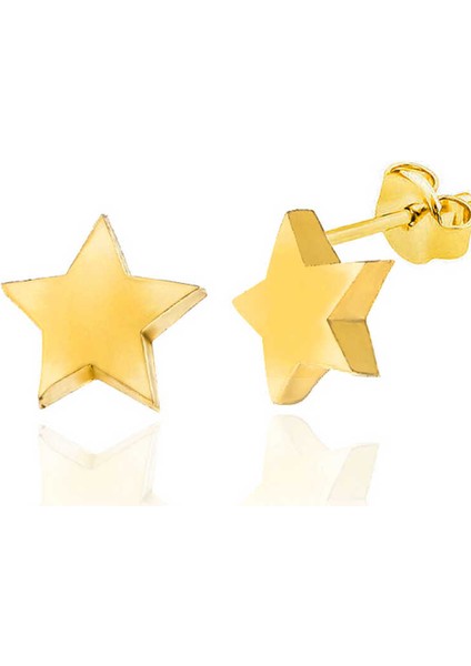 Gümüş Gold Yıldız Çivili Kadın Küpe