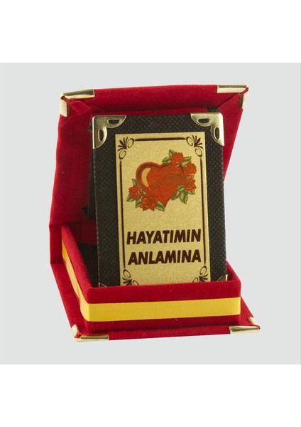 Hayatımın Anlamına Plaketi