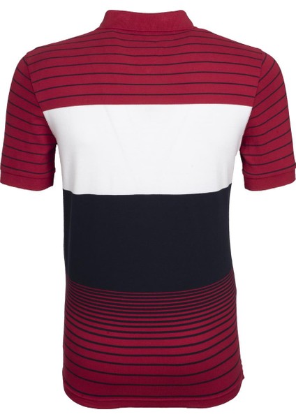Erkek Polo Yaka Tişört Y7TYO7172 modelleri