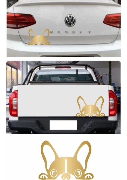 Köpek Bağajdan Bakan Köpek Araba Oto Motosiklet Karavan Sticker 00429