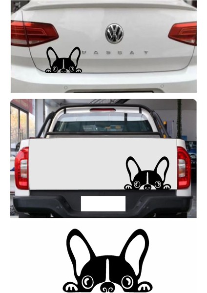 Köpek Bağajdan Bakan Köpek Araba Oto Motosiklet Karavan Sticker 00429
