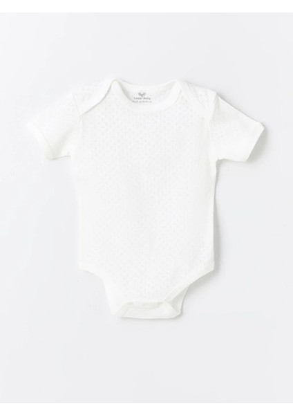 3lü Jakarlı Kısa Kol Body Erkek Bebek 0-4 Yaş fiyatları