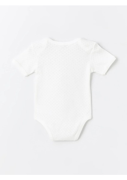 3lü Jakarlı Kısa Kol Body Erkek Bebek 0-4 Yaş modelleri