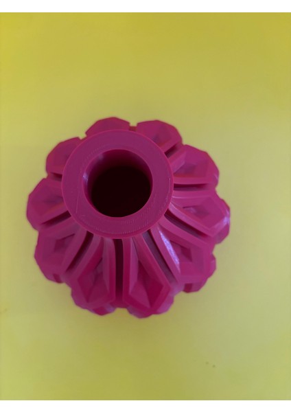 3D Hayal Ötesi Lotus Vazo (16X16) Plastik