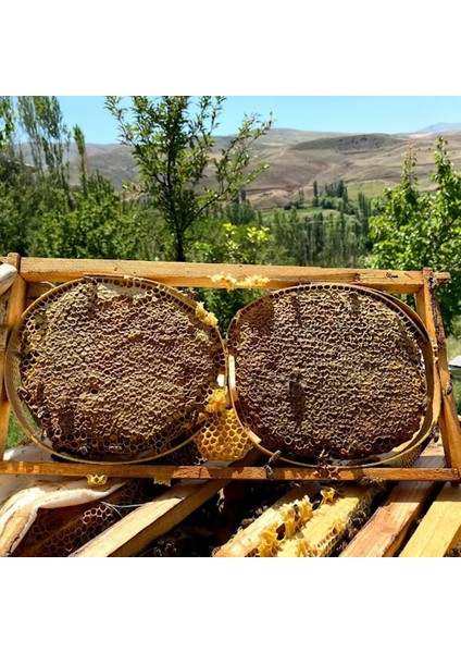 Karakovan Balı 1.5 kg