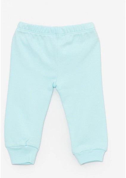 Basic Dinozor Desenli 2li Patiksiz Alt Kız Bebek 3 Ay-3 Yaş fırsatları