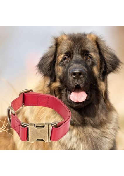 Gerçek Deriden El Yapımı Köpek Tasması, 50CM Ayarlanabilir Ölçü, Kırmızı