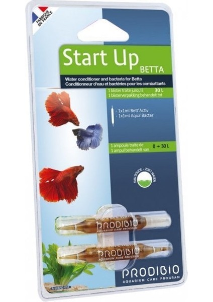 - Start Up Betta