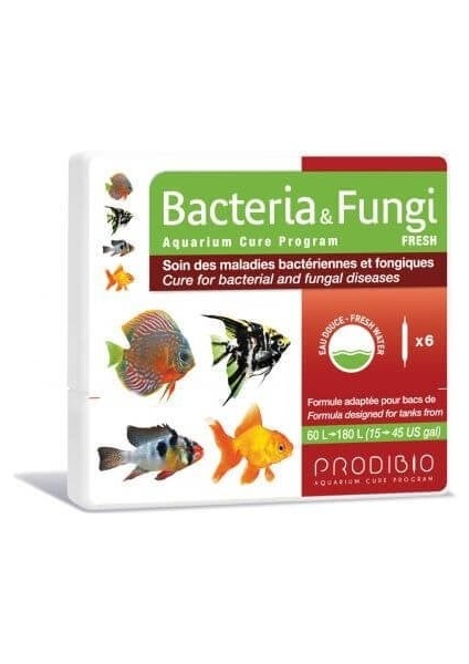 Bacteria & Fungu Fresh 6 Ampul