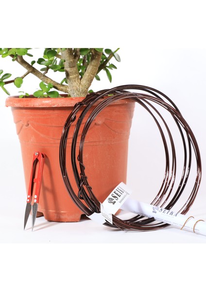 Yeşim Ağacı - Afra Bonsai Telleme Kiti NO.X189