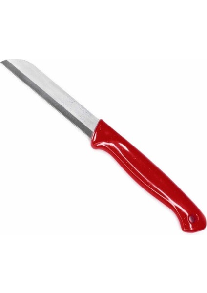 Vanilin Kitchen Solingen Simli Delikli Kırmızı 6’lı Meyve Bıçağı Seti fiyatları