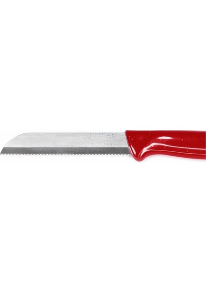 Vanilin Kitchen Solingen Simli Delikli Kırmızı 6’lı Meyve Bıçağı Seti modelleri