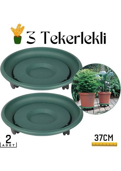 Maygi Store 2'li Tekerlekli Saksı Altığı 37 cm Coadura Design Yeşil 714458