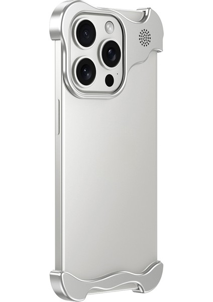 Apple iPhone 12 Pro Max Telefon Kılıfı (Yurt Dışından)