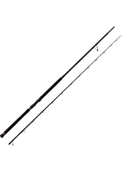 Defi Muthos Accura 100H (Type R) 305CM 30-120 / 30-200GR Shore Jigging Kamış