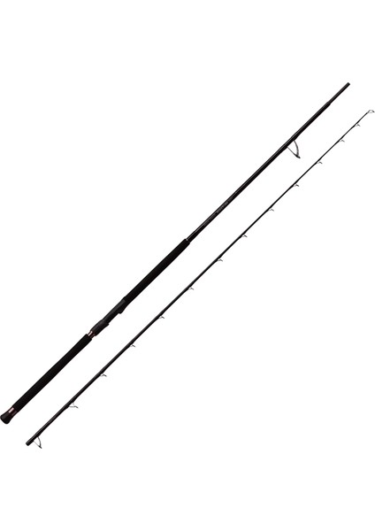 Defi Muthos Accura 100HH (Type R) 305CM 40-150 / 60-230GR Shore Jigging Kamış