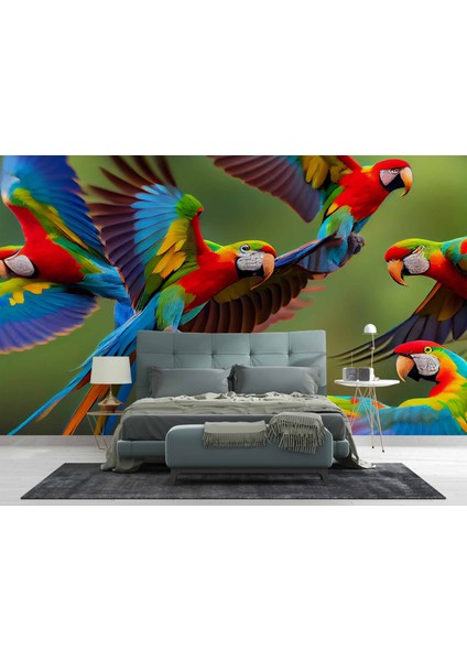 Renkli Papağanlar fiyatları