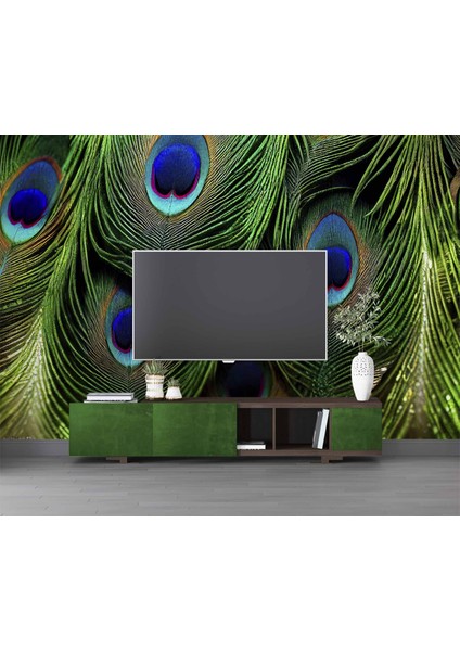 Tavus Kuşu Tüyü Desenli modelleri