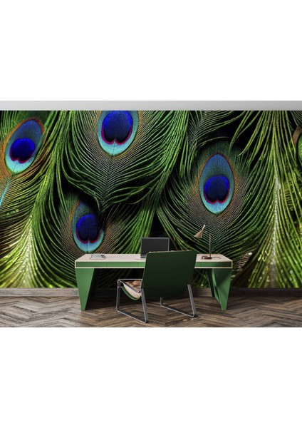 Tavus Kuşu Tüyü Desenli fırsatları