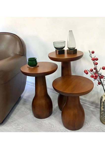 Wood Wooden 3’lü Set Mantar Yan Sehpa Ahşap Modern Ceviz Renk Fiskos Çiçeklik fırsatları
