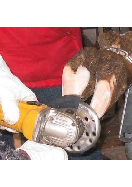 6 Bıçaklı Tırnak Kesme Diski fiyatları