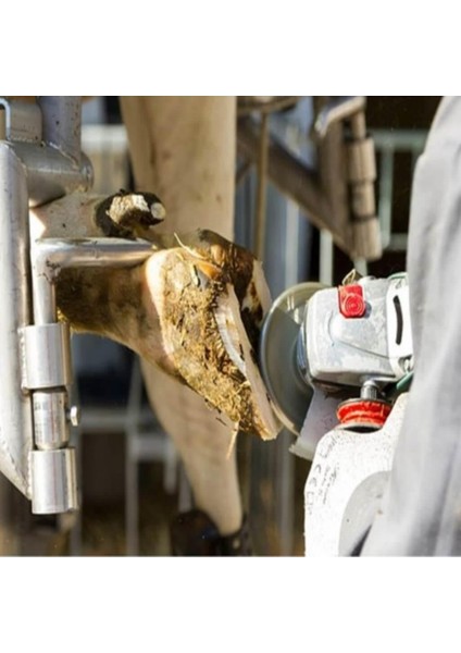 6 Bıçaklı Tırnak Kesme Diski modelleri