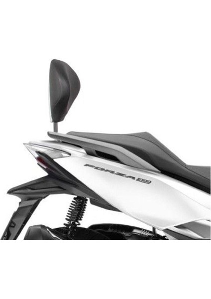 Honda Forza 250/300 18-19 Sissy Bar fiyatları