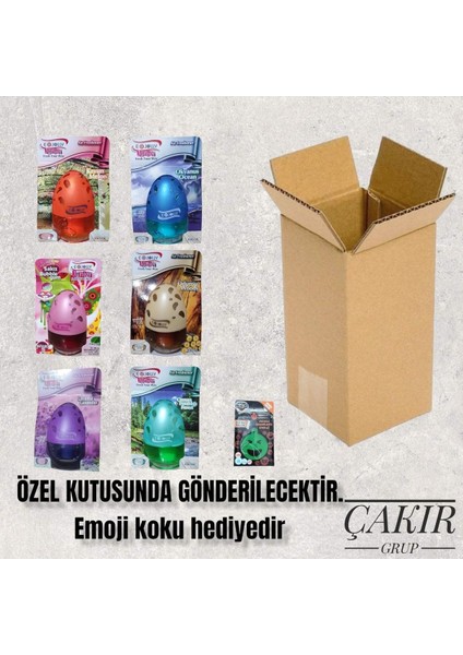 Oto Kokusu Kavanoz 6 Adet Karma 100ML