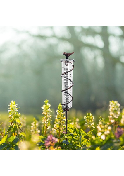 Kapasiteli Cam Spiral Yağmur Ölçer, Dökme Demir Kuş Asılı Yağmur Ölçer, Metal Çerçeve ile Bahçe Yağmur Suyu Sayacı Ölçümü (Yurt Dışından)