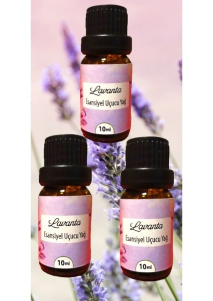 Lavanta 10 ml 3 Adet Esansiyel Uçucu Yağ Oda Kokusu Çamaşır Yün Kurutma Topu Kokusu