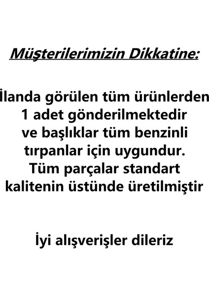 Benzinli 4 Zamanlı Tekerlekli Tırpan + Lüks Bahçivan Seti (8’li Set)
