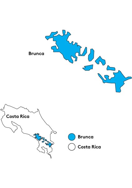 Costa Rica Villa Sarchi Filtre (Exclusive) modelleri