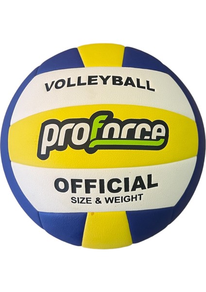 VL-100 Voleybol Topu