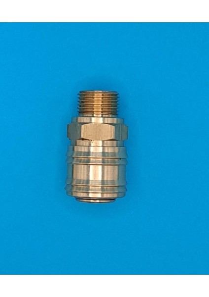 2 Adet Jak Erkek Gövde (3/8)