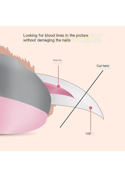 Evcil Hayvan Tırnak Makası Köpek Tırnak Makası Tırnak Parlatıcı Hafif Kanama Önleyici Tırnak Makası (Yurt Dışından)