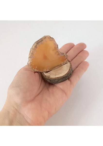 Doğal Taş Plaka Sarı Akik Ahşap Standlı Dekoratif Obje Biblo Traverten 16978 fiyatları