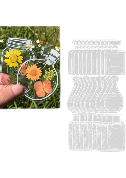 Kurutulmuş Çiçek Ayracı Şişesi, Şeffaf Kurutulmuş Çiçek Ayraçları, Dıy Kurutulmuş Çiçek Ayracı, Uygun Kadın Çocuk Mezuniyet B (Yurt Dışından) fırsatları