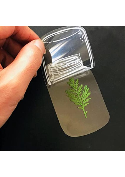 Kurutulmuş Çiçek Ayracı Şişesi, Şeffaf Kurutulmuş Çiçek Ayraçları, Dıy Kurutulmuş Çiçek Ayracı, Uygun Kadın Çocuk Mezuniyet B (Yurt Dışından) indirimleri