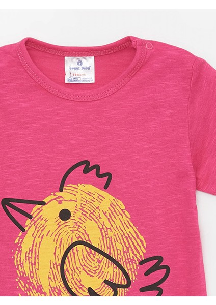 Kısa Tulum Kız Bebek 6 Ay-3 Yaş modelleri