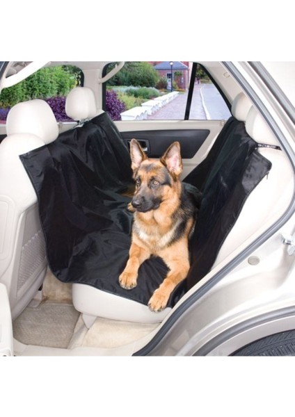 Ankaflex Araç Içi Evcil Hayvan Kedi Köpek Basit Koltuk Örtüsü (Sıvı-Su Geçirmez)