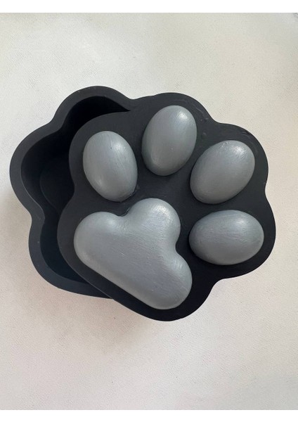 Siyah Pati Kutusu, Kedi Pati Kutusu, Köpek Pati Kutusu, Takı Kutusu, Paw Bo x